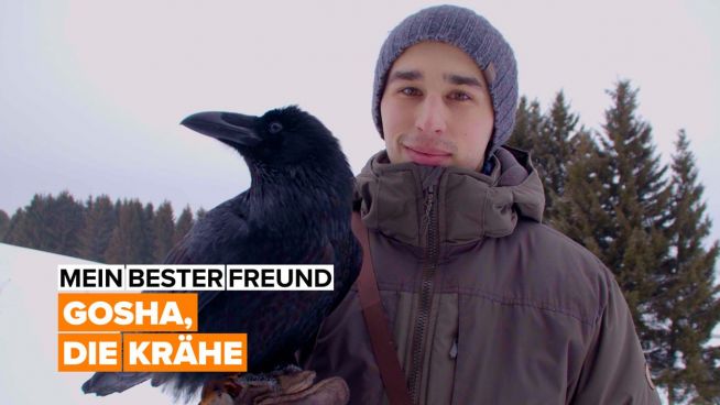 Mein bester Freund: Gosha, die Krähe